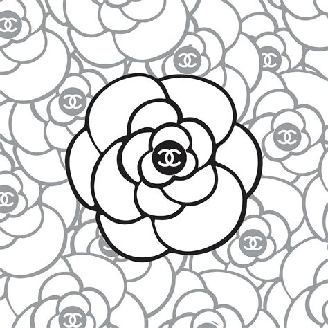 camelia chanel drawing pattern|Chanel camellia ribbon art.